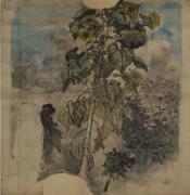 作品画像
