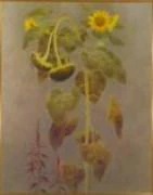 作品画像