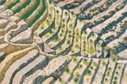 作品画像