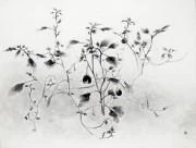 作品画像