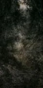 作品画像