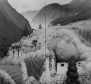 作品画像