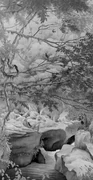 作品画像