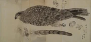 作品画像