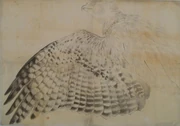 作品画像