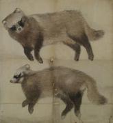 作品画像
