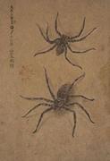 作品画像