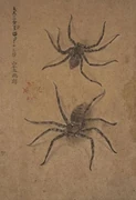 作品画像