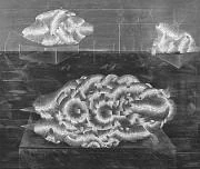 作品画像