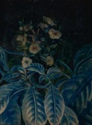 作品画像