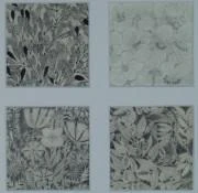 作品画像