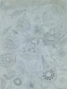 作品画像