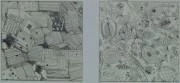 作品画像
