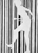 作品画像
