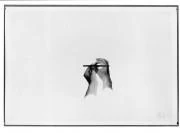 KIMURA, Hideki, Pencil 2-3 | Art Platform Japan (APJ)