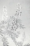 作品画像