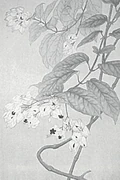 作品画像