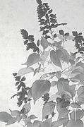 作品画像