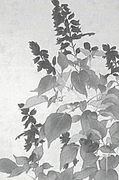 作品画像