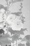 作品画像