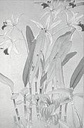 作品画像