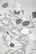 作品画像