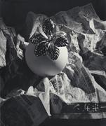 作品画像