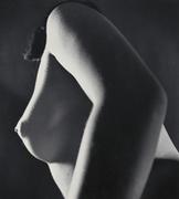 作品画像