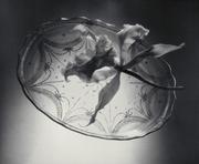 作品画像