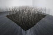 作品画像