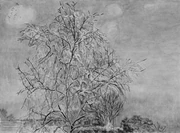 作品画像