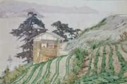 作品画像
