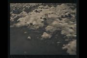 作品画像