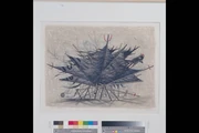 作品画像