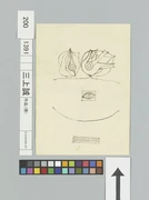 作品画像