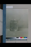 作品画像