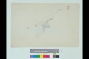 作品画像