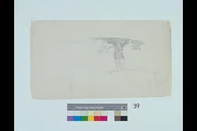 作品画像