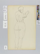 作品画像