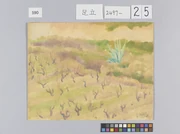 作品画像