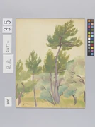 作品画像