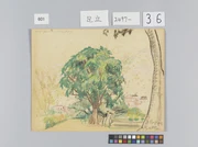 作品画像