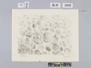 作品画像