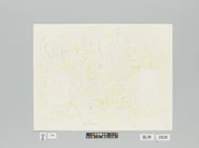 作品画像