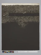 作品画像