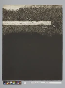 作品画像