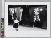 作品画像