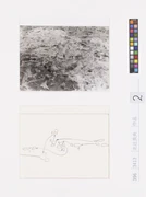 作品画像