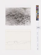 作品画像