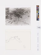 作品画像